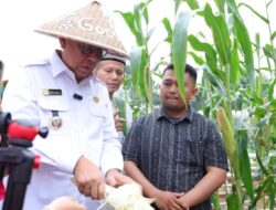 Benyamin Davnie Ajak Masyarakat Manfaatkan Lahan secara Produktif