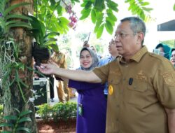 Jadi Ikon Tangsel, Benyamin Davnie Ajak Tanam Anggrek