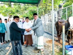 Iduladha 1445 H, Benyamin Davnie: Pemkot Tangsel Distribusikan 46 Sapi dan 48 Kambing