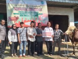Iduladha 1445 H, Indah Kiat Tangerang Kembali Sebar Puluhan Hewan Kurban
