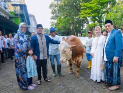 Iduladha 1445 Hijriah, Pilar Saga Ichsan Sembelih Langsung Hewan Kurban