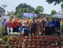 Indah Kiat Tangerang Bersama DKP3 Tangsel Panen Golden Melon di KWT Nerada