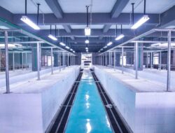 Pemkot Tangsel Siapkan Ratusan Los Kosong Gratis di Gedung Pasar Ciputat untuk para Pedagang