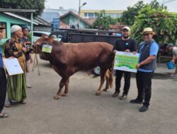 Iduladha 1446 H, PT Indah Kiat Tangerang Salurkan Puluhan Hewan Kurban untuk Warga Sekitar