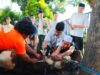 Wakil Walikota Tangsel Pilar Sembelih Sendiri Hewan Kurban
