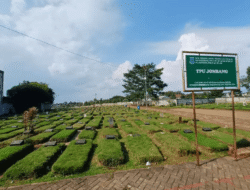 Pemkot Tangsel Terus Tingkatkan Layanan Pemakaman dan Pengelolaan TPU