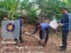 Ular Sanca Masuk Permukiman Warga di Rempoa, Damkar Tangsel Lakukan Evakuasi